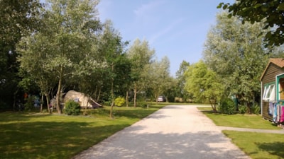 Pitch CONFORT (120 to 155m²) + 1 car +