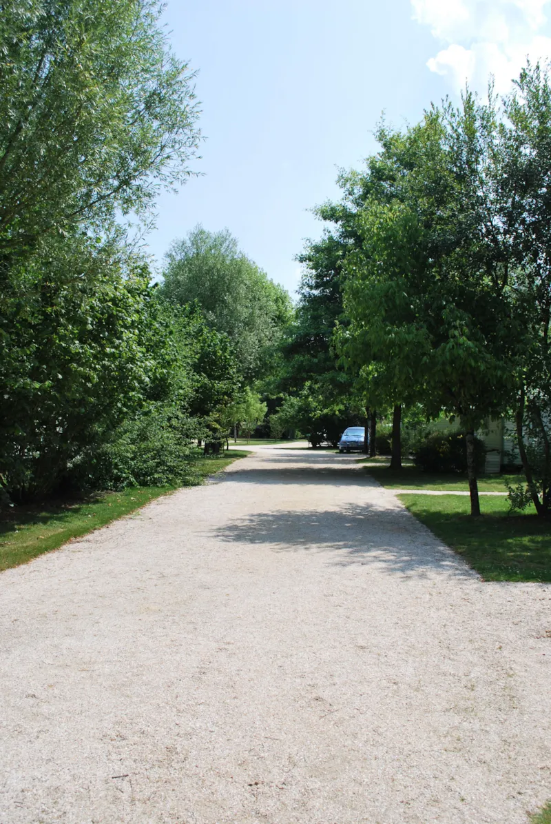 Emplacement Confort (120 À 155M²) 2 Pers + Voiture + Électricité