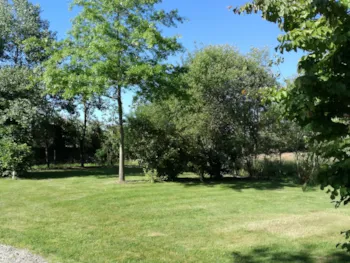 Stellplatz - Stellplatz Confort (120/155M²) + 1 Fahrzeug + - Camping Les Charmes