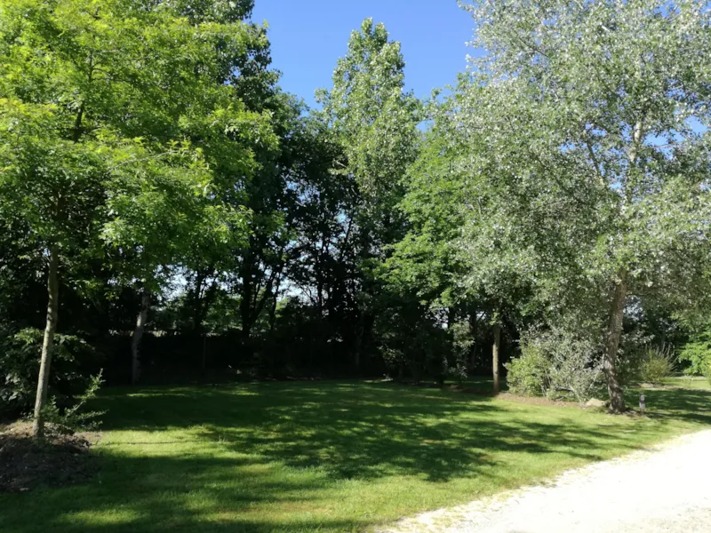 Emplacement Confort (120 À 155M²) 2 Pers + Voiture + Électricité