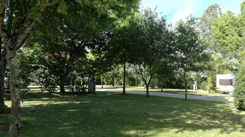 Emplacement Premium (+180M²)