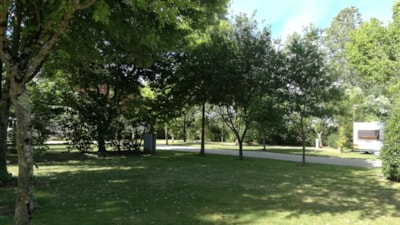 Pitch PREMIUM (+180m²)