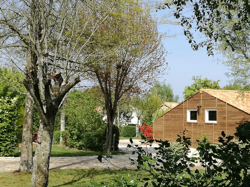 Emplacement Premium (+180M²)