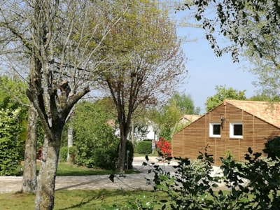 Pitch PREMIUM (+180m²)