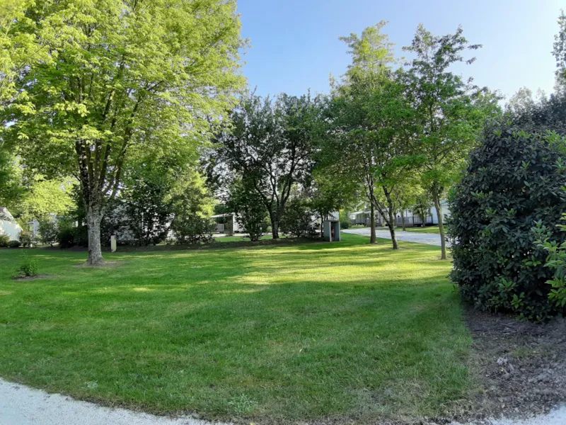 Emplacement Premium (+180M²)