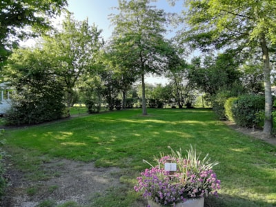 Pitch PREMIUM (+180m²)