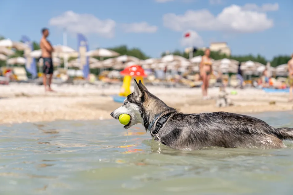 Club del Sole Le Mimose Family Resort 