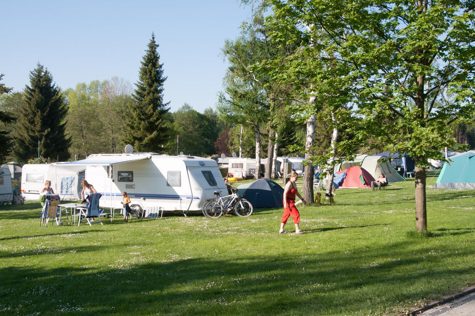 Emplacement - Emplacement : Voiture + Électricité - Camping Park Weiherhof