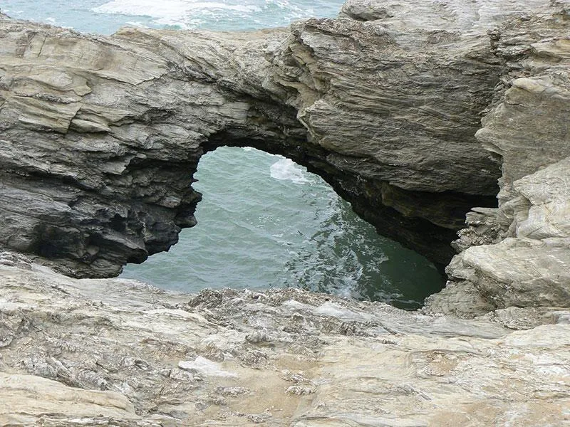 Flower Camping Au Bois Des Biches