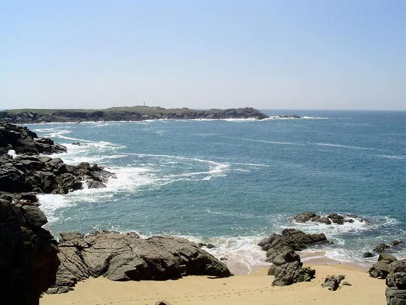 Flower Camping Au Bois Des Biches