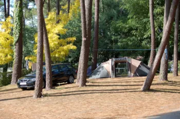 Stellplatz - Stellplatz Komfort + Strom  10A - Flower Camping Les Biches