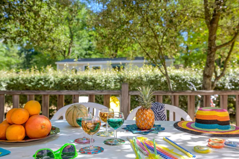 Mobil-Home Confort Tv 2Ch | Confort - 26M² - Terrasse Couverte - Tv - Plancha