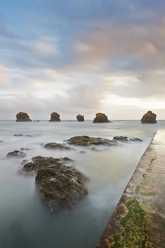 Flower Camping Au Bois Des Biches