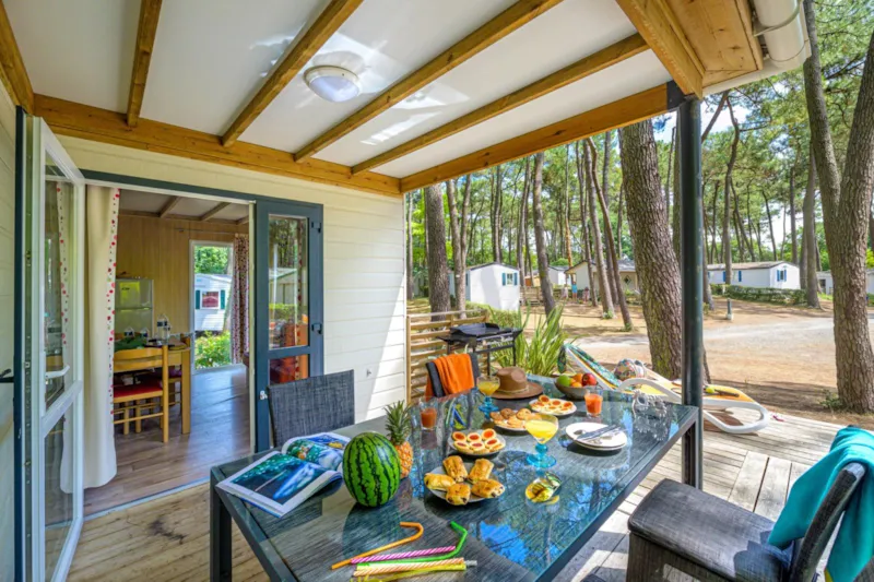 Cottage Premium 3Ch | Premium - 32 À 42M² Terrasse Couverte - Tv - Lv - Wifi Gratuit