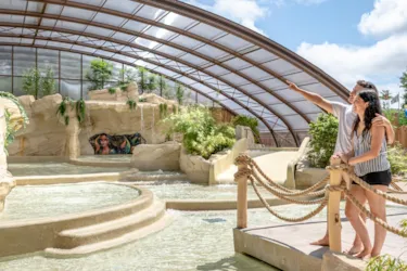 Flower Camping Au Bois Des Biches - image n°3 - Camping Direct