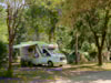 Camping Qualité
