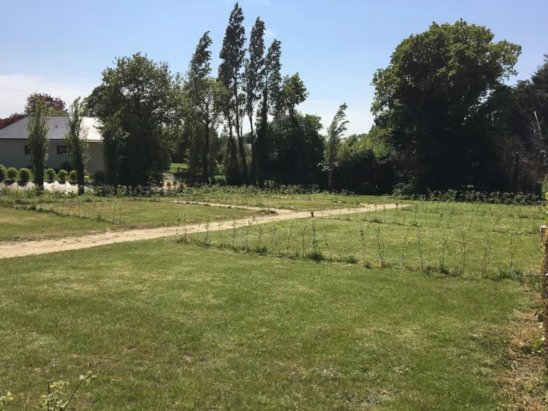 Forfait : Emplacement 100M² + 1 Voiture + Tente Ou Caravane + Électricité