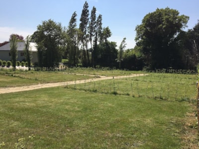 Package: Pitch 100m²  + car + tent or caravan + electricity — 1