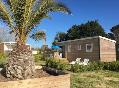 Privilège 3 bedrooms — 1
