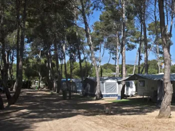 Stellplatz - Stellplatz Medium Standard (<90M² Auto + Zelt , Wohnwagen Oder Wohnmobil +  Strom 10A + Wasser) - Tamarit Beach Resort