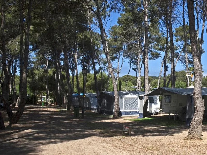 Standplaats Medium Standard (<90m² auto + tent, caravan of camper +  elektriciteit 10A + water)