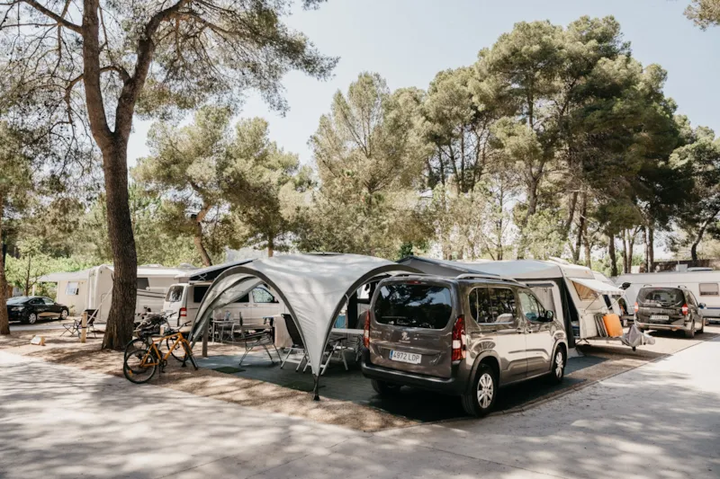 Emplacement Large Standard (90-120M² Voiture + Tente Ou Caravane Ou Camping-Car + Électricité 10A + Eau)