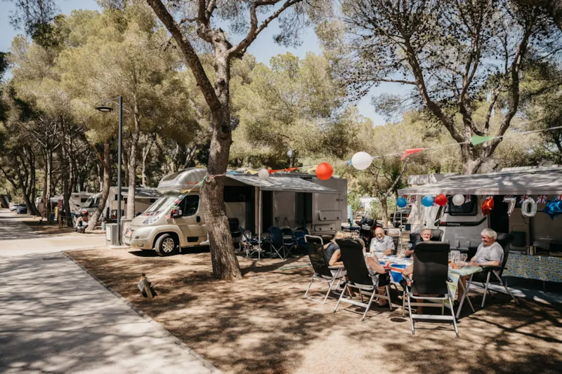 Emplacement Medium Standard (>90M² Voiture + Tente Ou Caravane Ou Camping-Car + Électricité 10A + Eau)