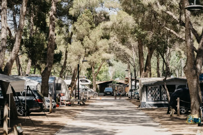 Emplacement Medium Standard (>90M² Voiture + Tente Ou Caravane Ou Camping-Car + Électricité 10A + Eau)