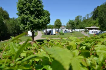 Stellplatz - Stellplatz 71-85M2 Komfort - Prümtal-Camping Oberweis