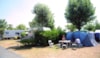 Camping Qualité