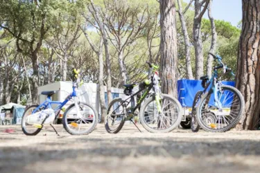 Camping Riembau - image n°3 - Camping Direct