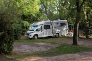Stellplatz - Hunde Stellplatz Mit 1 Hund Inbegriffen - Camping Capalonga