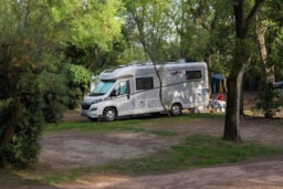 Piazzole - Piazzola Cani Con 1 Cane Incluso - Camping Capalonga