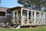 Suite Caravan Luxury Suite Caravan Luxury