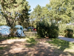 Pitch - Nature Package (1 Tent, Caravan Or Motor Home / 1 Car) - Flower Camping Le Vorlen