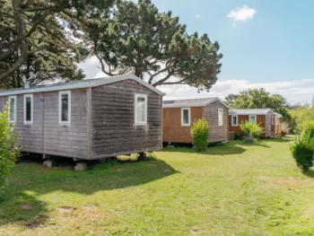 Mietunterkunft - Standard Holz Mobilheim 24M² - 2 Schlafzimmer + Tv + Integrierte Terrasse 7M² - Flower Camping Le Vorlen