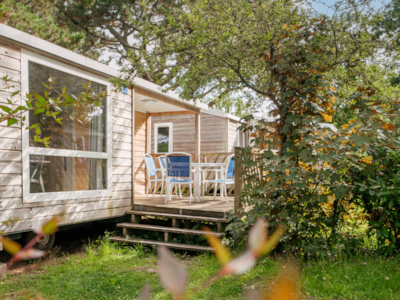 Wooden mobile home Standard - 24m² - 2 bedrooms + TV + 7m² terrace — 2