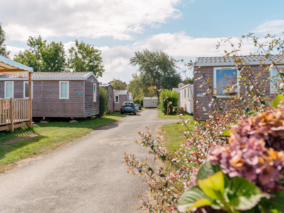 Mobile home Standard - 28m² - 3 bedrooms + TV + Terrace — 3