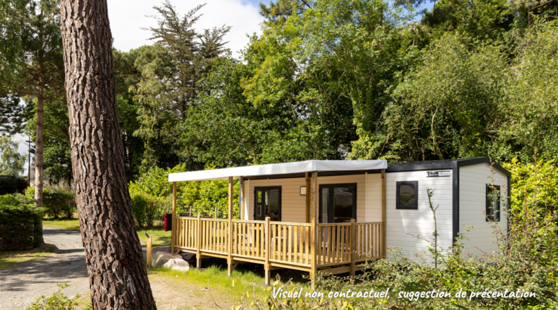 Mobile home Premium - 32m² - 3 bedrooms + TV + dishwasher + Terrace + sheets + towels