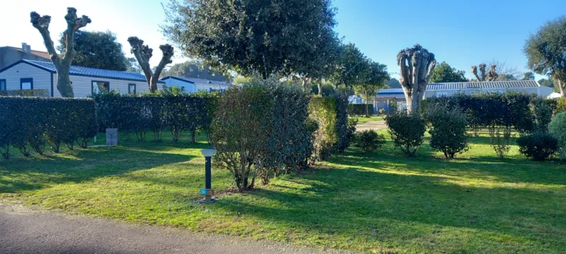 Emplacement + 1 Voiture + Tente Ou Caravane - 80M²