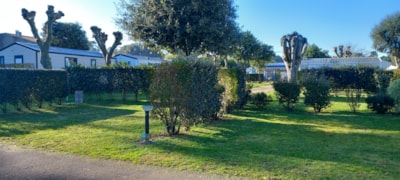 Pitch + car + tent or caravn - 80m²