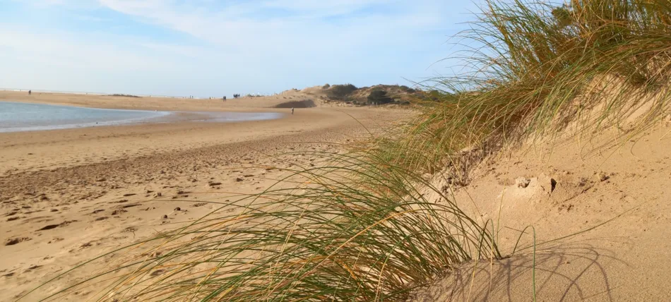 Camping Les Flots de l'Océan
