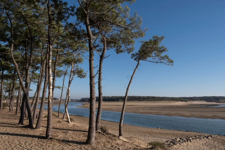 Camping Les Flots de l'Océan