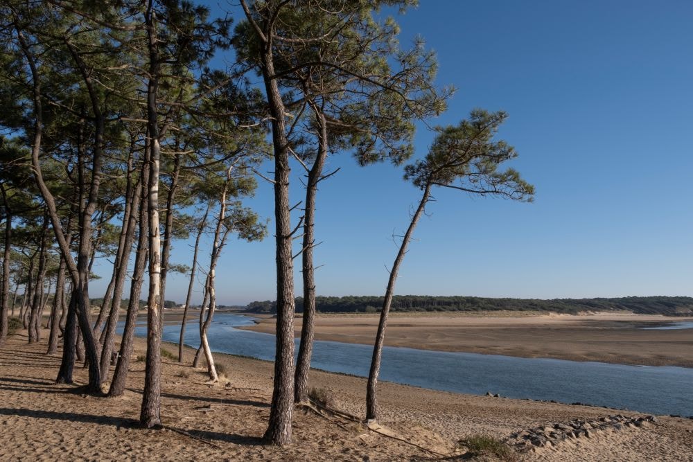 Camping Les Flots de l'Océan — Photo 3