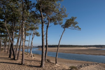 Camping Les Flots de l'Océan