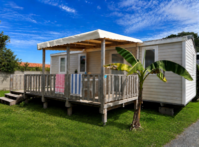 Mobile home Super Titania - 28,3m² - 3 bedrooms