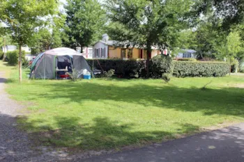 Stellplatz - Standort Nicht Elektrifiziert - Camping L'Arbre d'Or