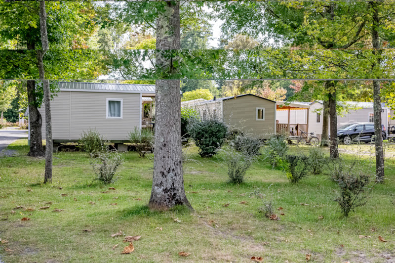 Camping L’Arbre d’Or photo 5