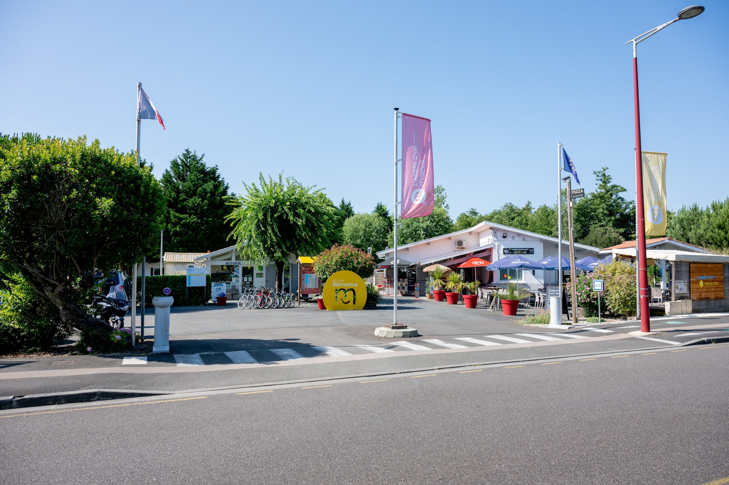 Camping L'Arbre d'Or — Photo 5