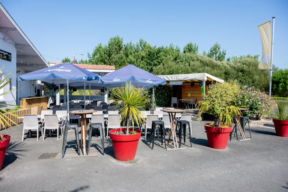 Camping L'Arbre d'Or